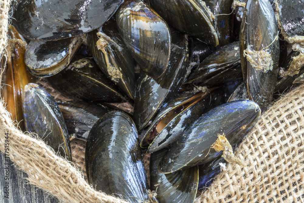 Moules de peches : photo du produit rappelé le 07/03/2024