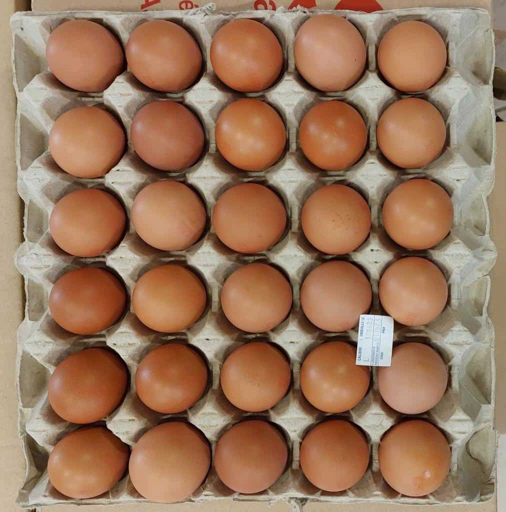 Oeuf coquille Cacg : photo du produit rappelé le 28/04/2023