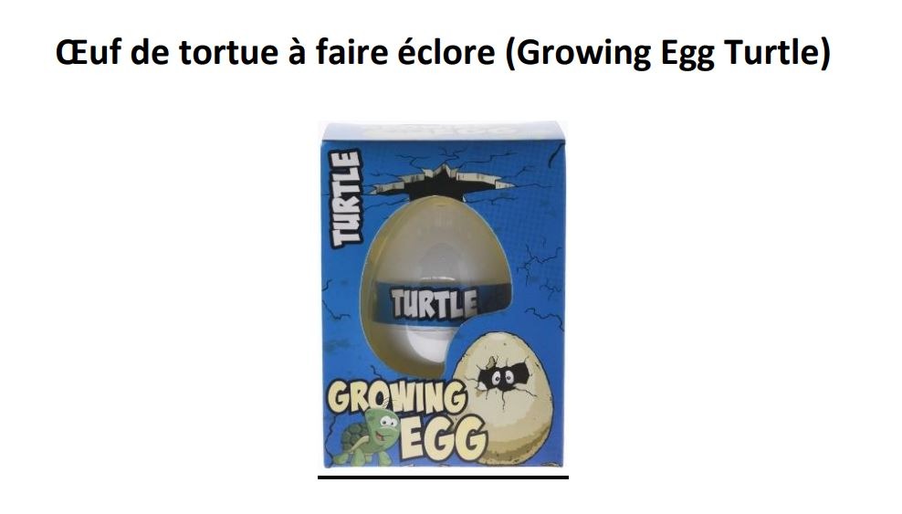 Œuf de tortue à faire éclore (growing egg turtle) : photo du produit rappelé le 03/05/2022