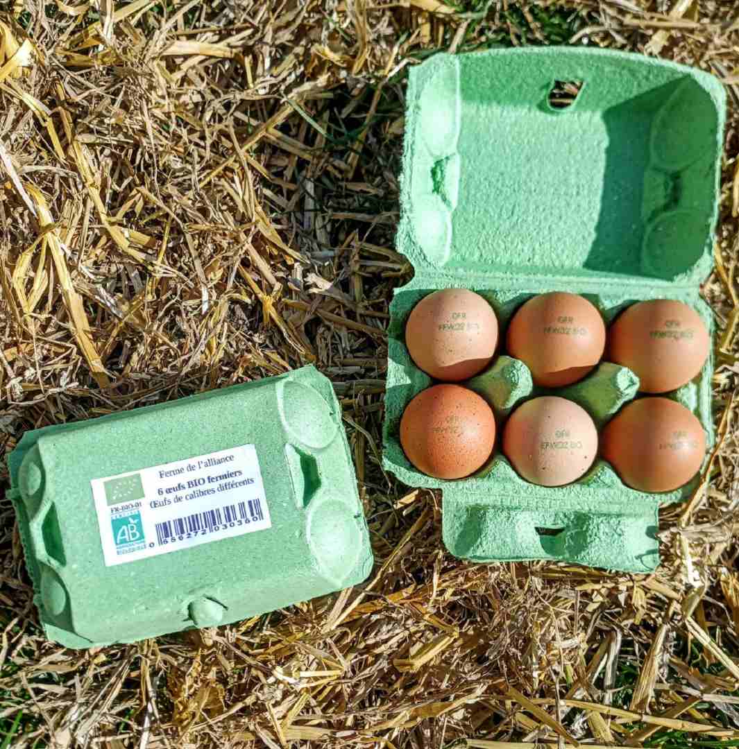 Oeufs boite de 6 Ferme de l'Alliance : photo du produit rappelé le 06/01/2025