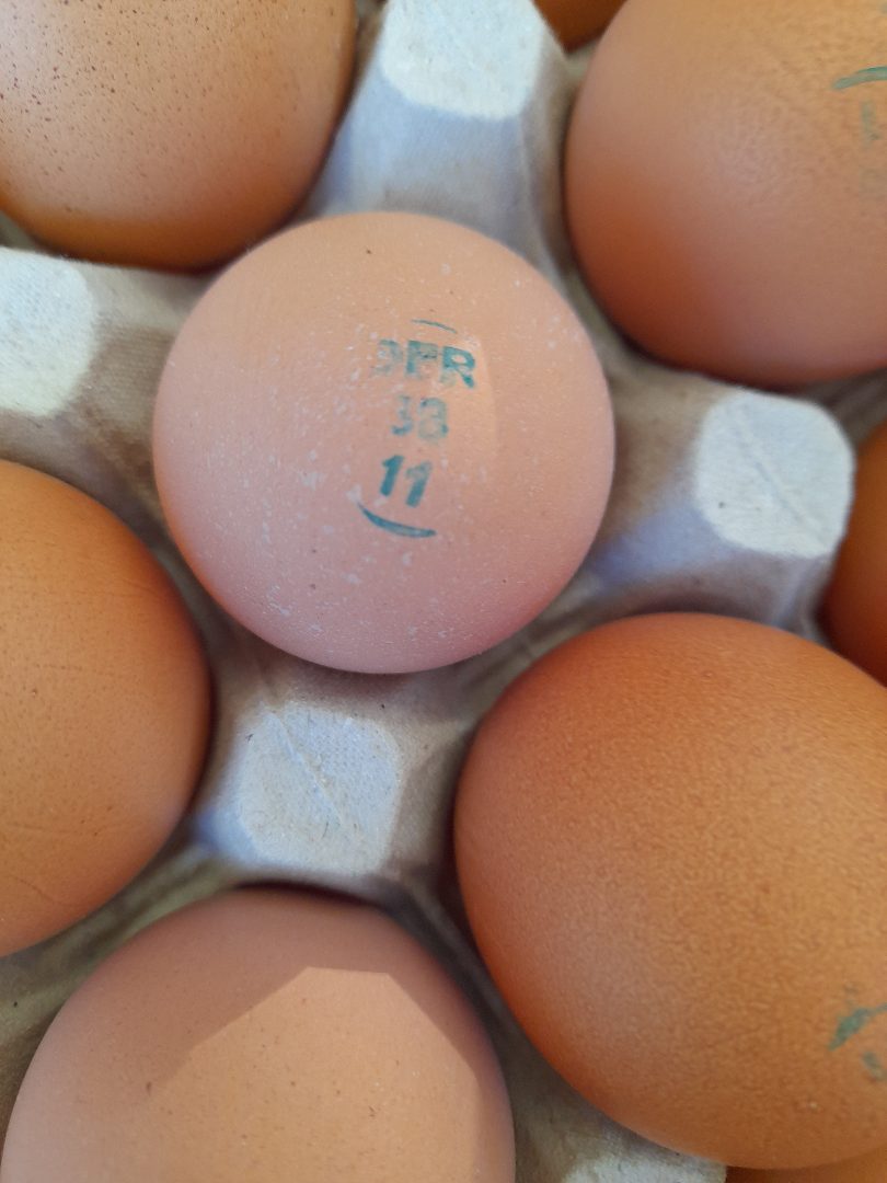 Oeufs coquille : photo du produit rappelé le 29/11/2022