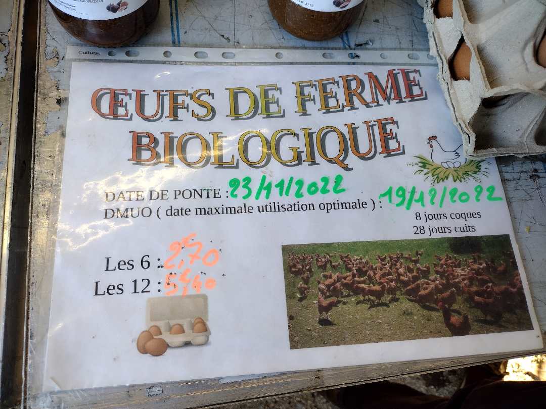 Oeufs coquille : photo 2 sur 2 du produit rappelé le 29/11/2022