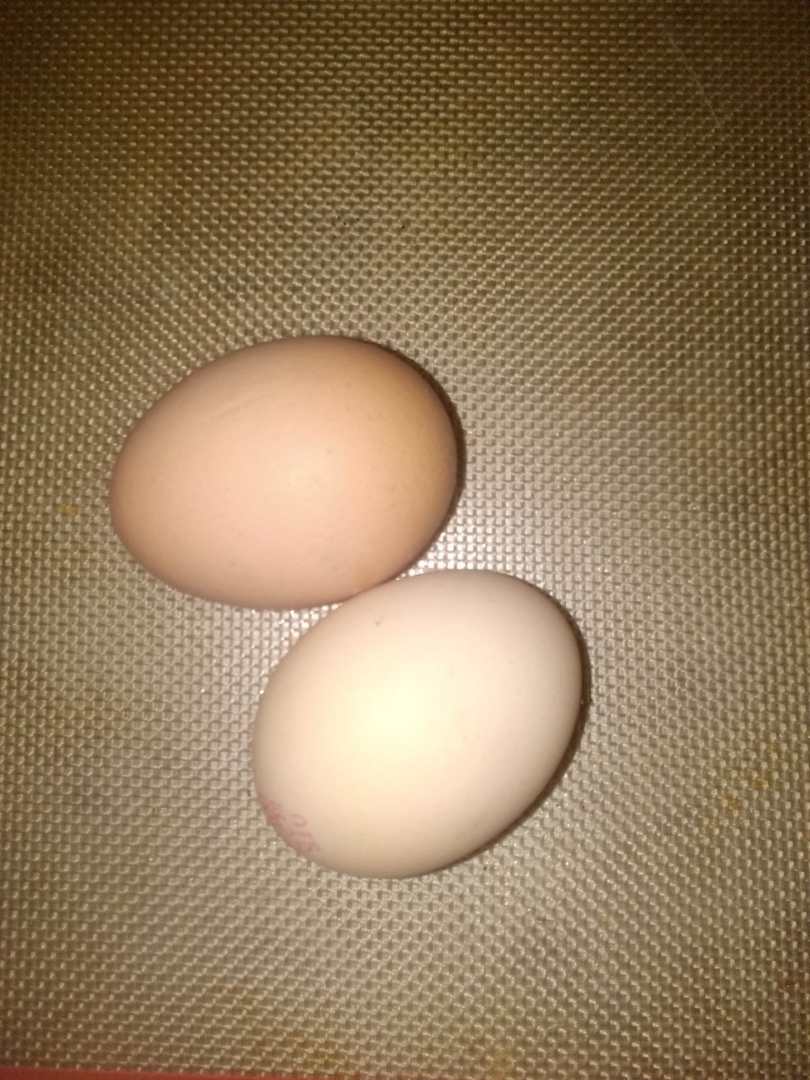 Oeufs coquille Earl des Giraults : photo du produit rappelé le 16/09/2022