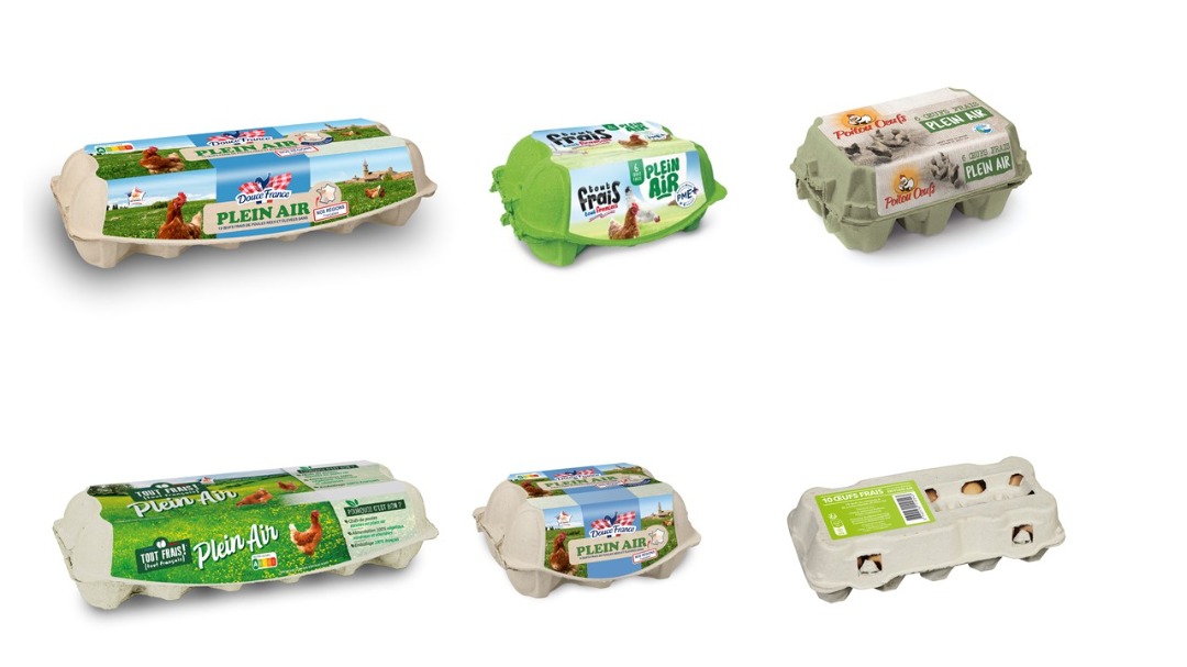 Oeufs Tout Frais Tout Français, Douce France, Ovalis : photo du produit rappelé le 25/10/2024