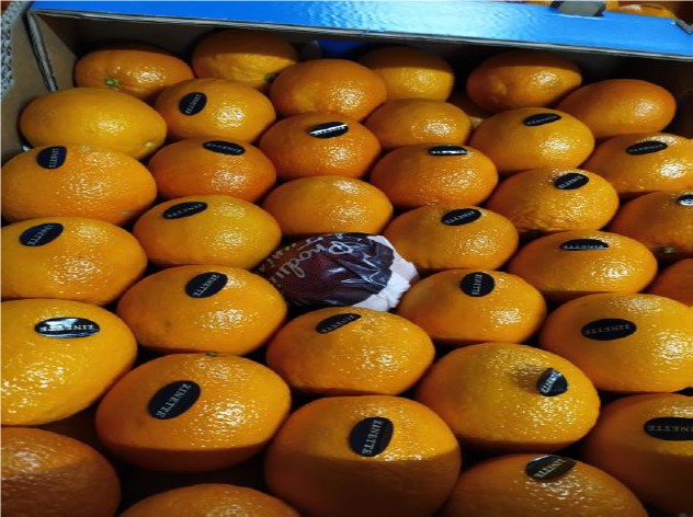Orange maltaise cat.1 tunisie Zinette : photo du produit rappelé le 01/07/2024