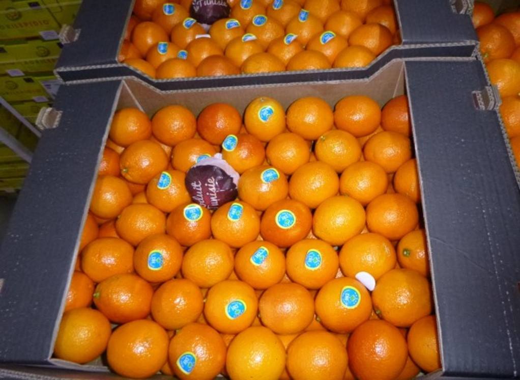 Orange maltaise tunisie Orsero, Vrac : photo 2 sur 2 du produit rappelé le 07/03/2023