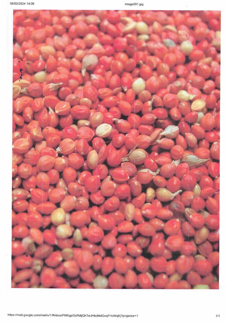 Panis rouge Grizo : photo du produit rappelé le 08/02/2024