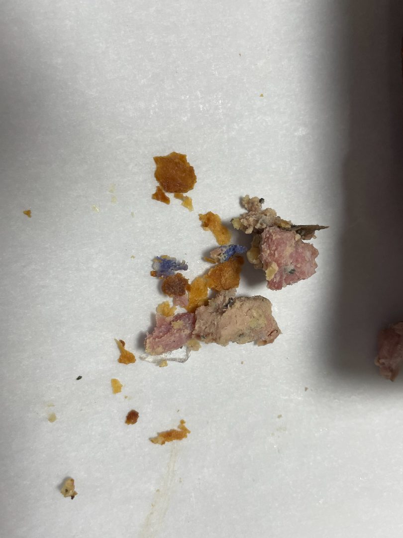 Pâté croûte Jean Maziere : photo 2 sur 2 du produit rappelé le 13/04/2022