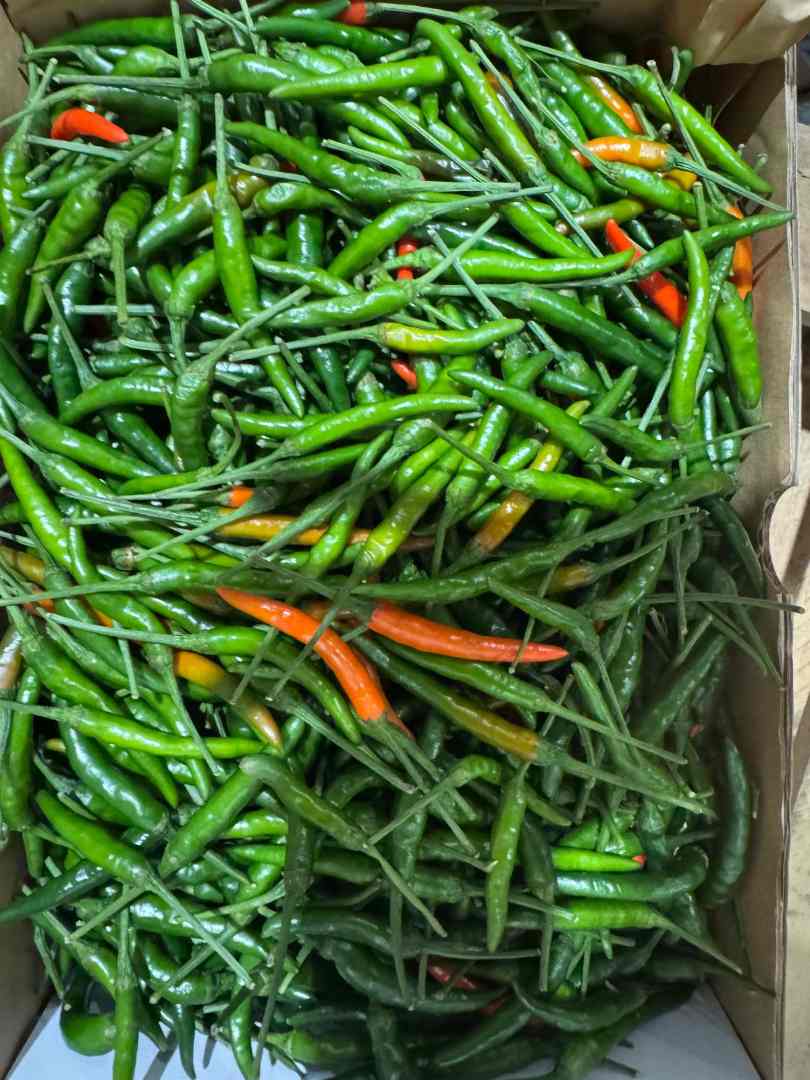 Piment vert - cambodge : photo 2 sur 2 du produit rappelé le 31/03/2025