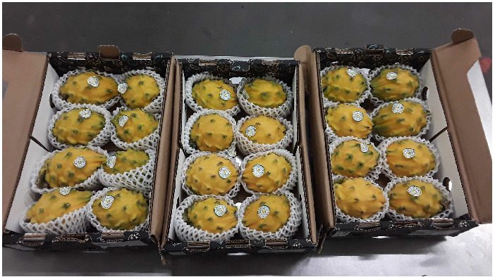 Pitahaya jaune : photo du produit rappelé le 12/01/2026