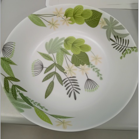 Plat en melamine et bol en melamine La Mediterranea : photo 4 sur 4 du produit rappelé le 18/07/2025