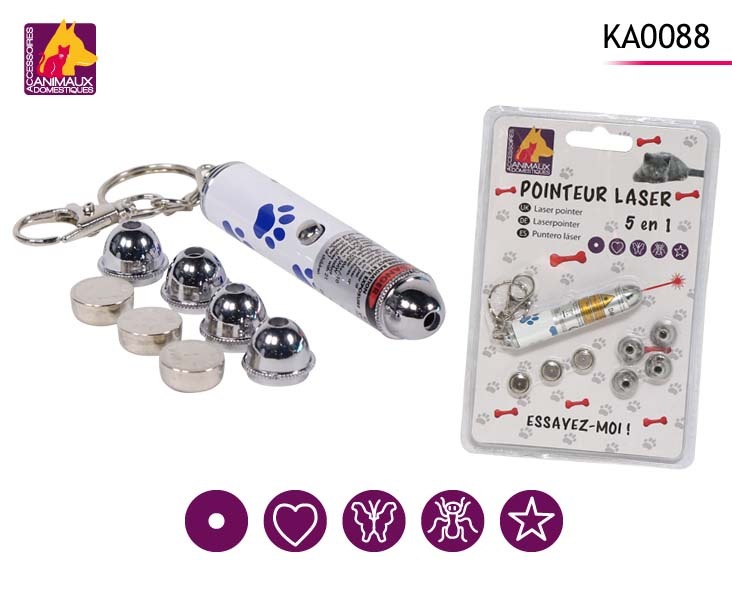 Pointeur laser : photo 2 sur 2 du produit rappelé le 06/05/2021