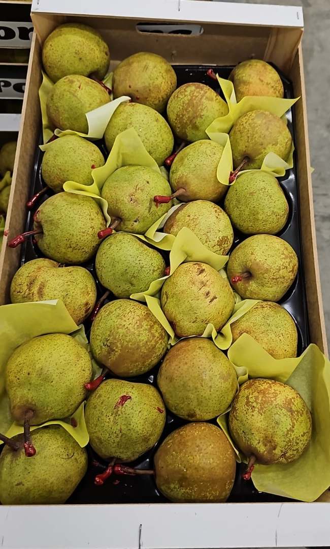 Poire crassane origine Espagne : photo du produit rappelé le 08/03/2024