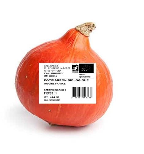 Potimarron biologique calibre 800/1200 gr origine France : photo du produit rappelé le 16/01/2025