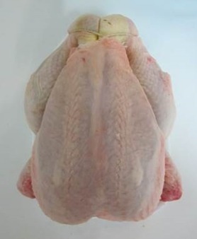 Poulet 1,200 kg pac nu lgp Le Gaulois Professionnel : photo du produit rappelé le 16/06/2023