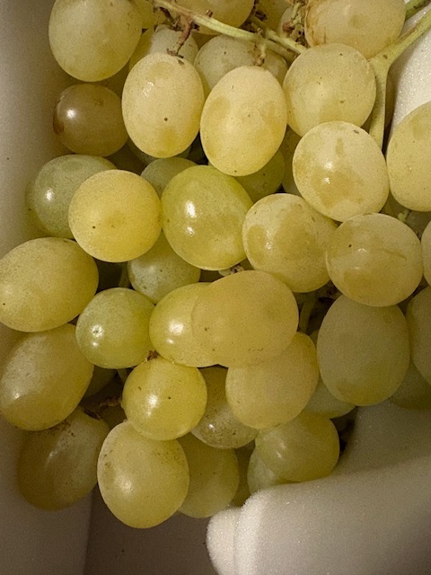 Raisin blanc Italie 11kg : photo du produit rappelé le 10/11/2025