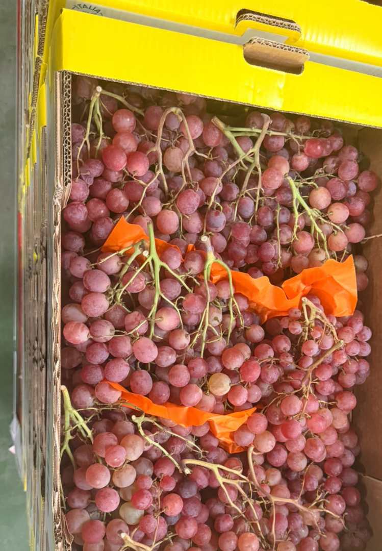 Raisin rose red globe cat i origine Italie Conte Max : photo du produit rappelé le 09/10/2026