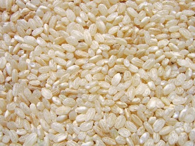 Riz de camargue IGP rond demi-complet bio vrac Biosud : photo du produit rappelé le 31/10/2024