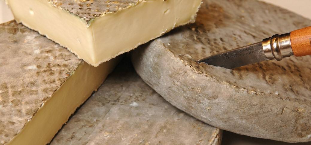 Saint-nectaire au lait cru de vache Fromagerie Guillaume : photo du produit rappelé le 01/04/2021