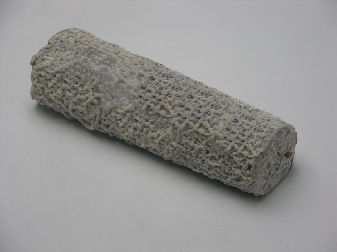 Sainte-maure de touraine AOP fermier Jacquin : photo du produit rappelé le 07/04/2023