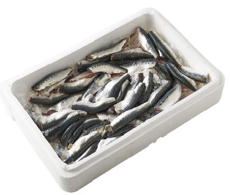 Sardines en étal Auchan le Poissonnier : photo du produit rappelé le 08/11/2025