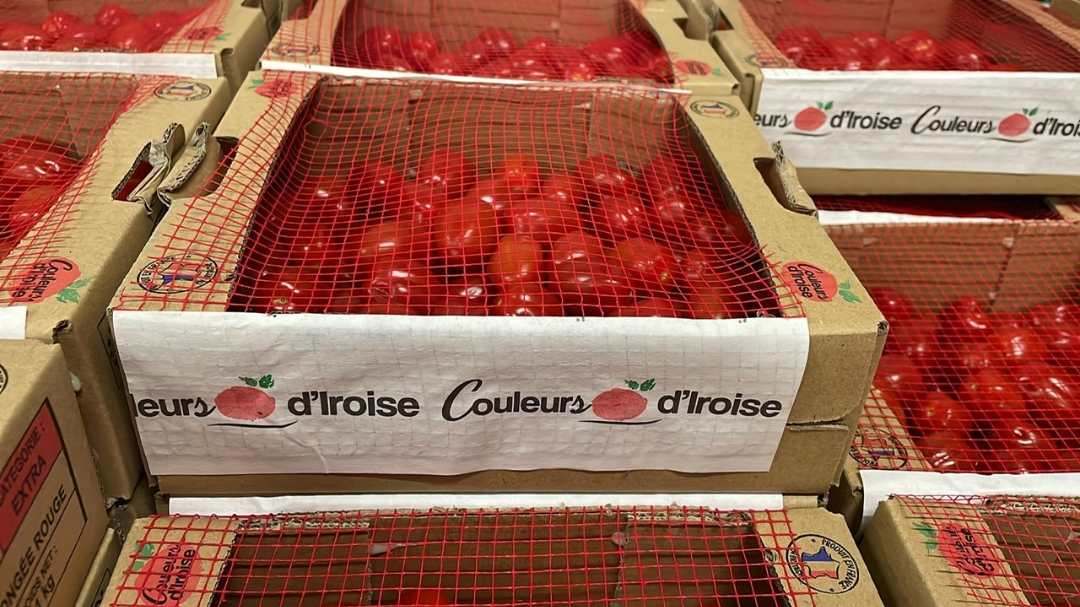 Tomate cerise 1kg : photo du produit rappelé le 09/05/2025