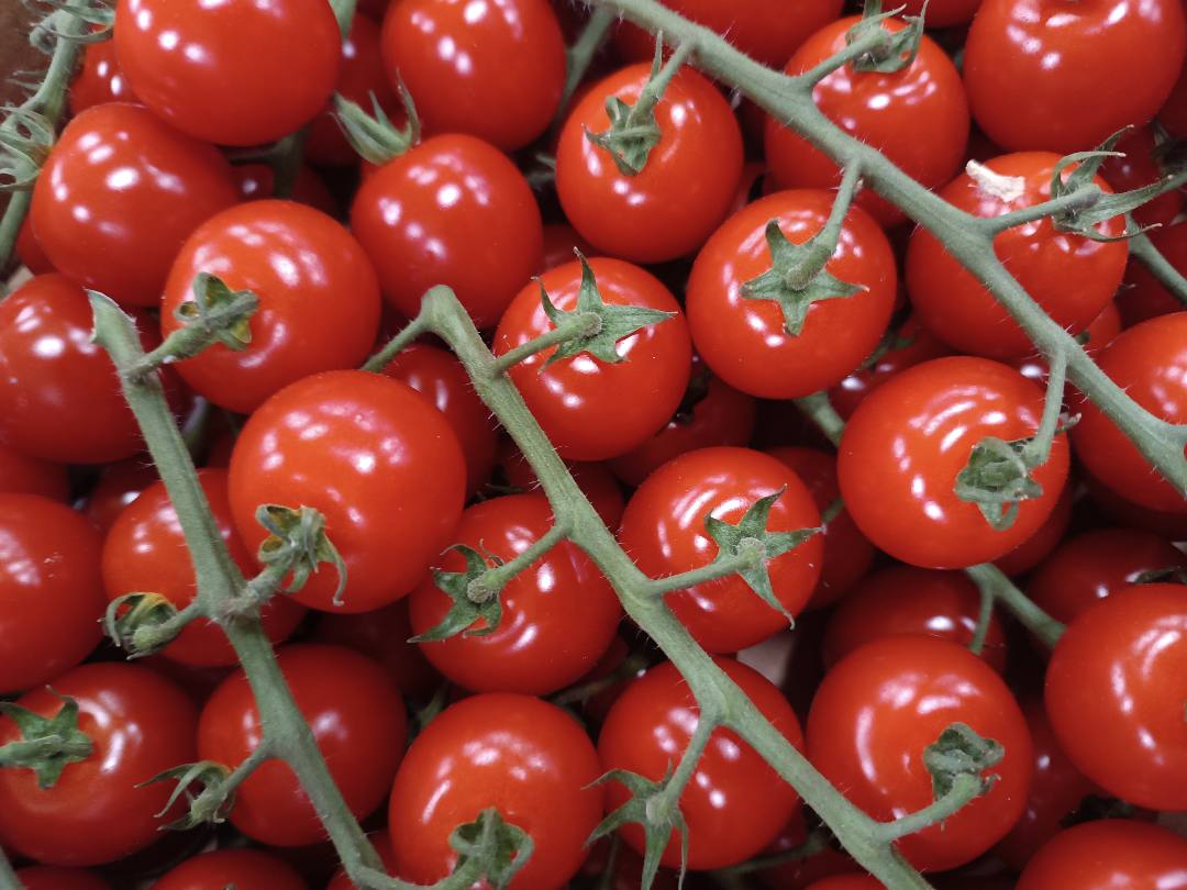 Tomate cerise grappe Espagne en 3kg categorie 1 Nijasol : photo du produit rappelé le 15/09/2025