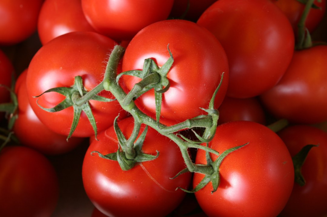 Tomate grappe 5kg : photo du produit rappelé le 03/04/2023