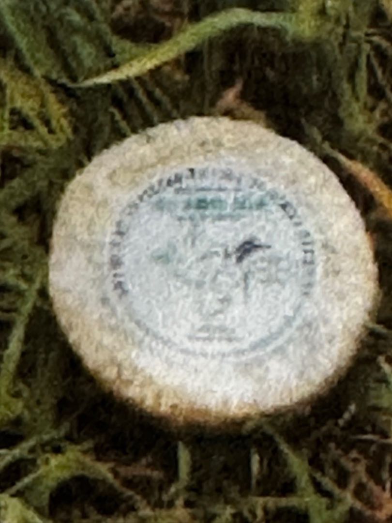 Tomette de brebis / chevre Alta-Cima 2B : photo du produit rappelé le 20/06/2023