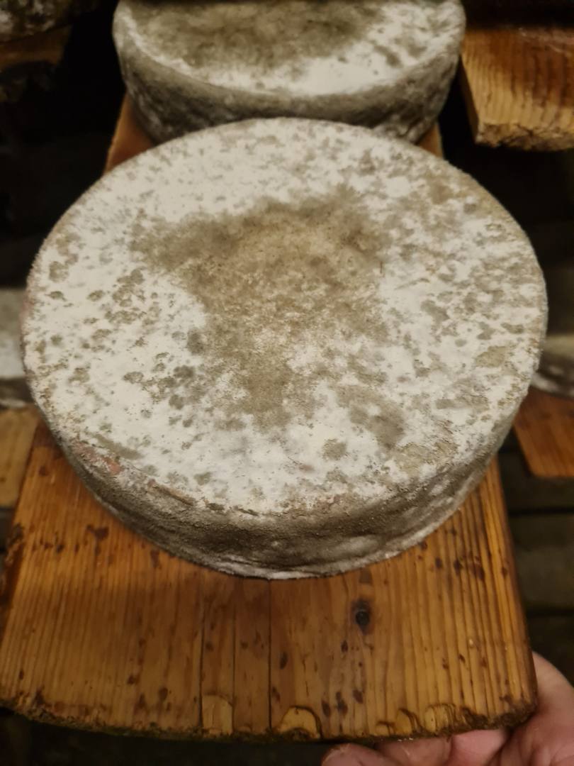 Tomme fermière Gaec le Semnoz : photo du produit rappelé le 19/12/2023