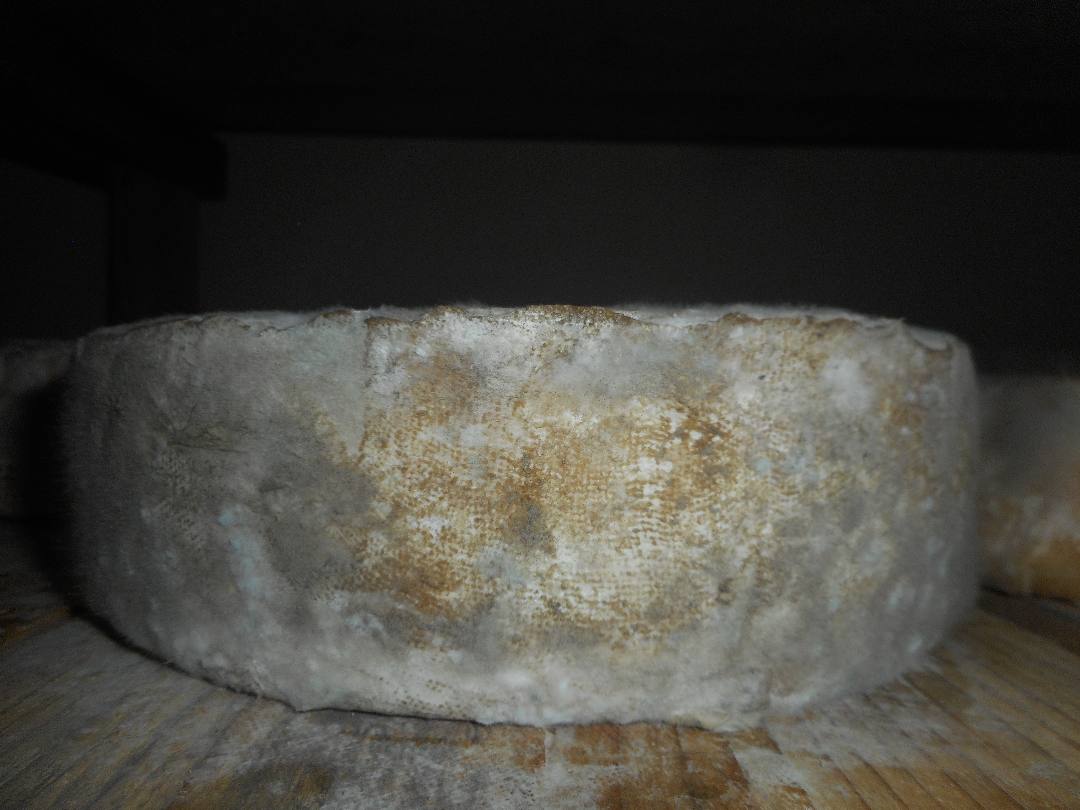 Tomme nature : photo du produit rappelé le 07/05/2026