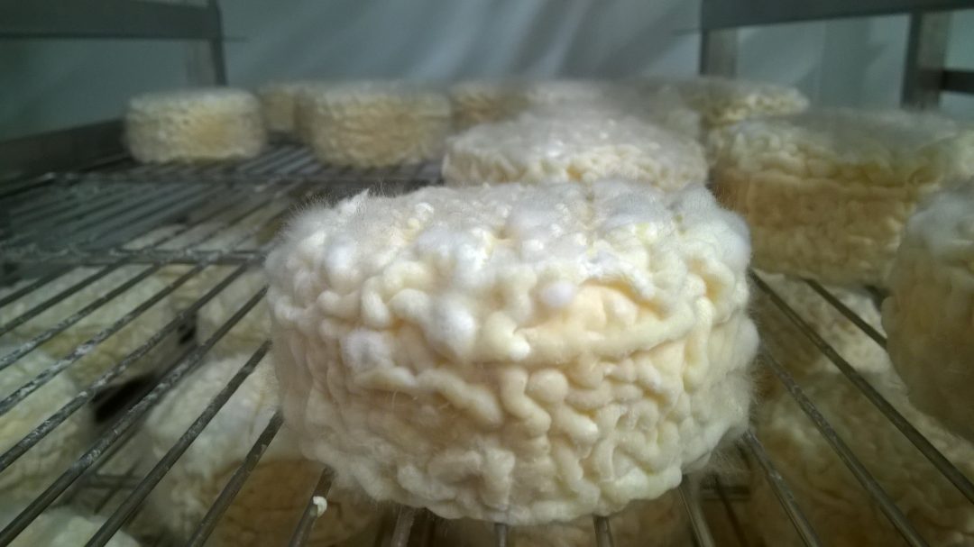 Tomme nature - tomme au piment espelette - bleu Bergerie Lou Ye Tu : photo 2 sur 3 du produit rappelé le 05/04/2022