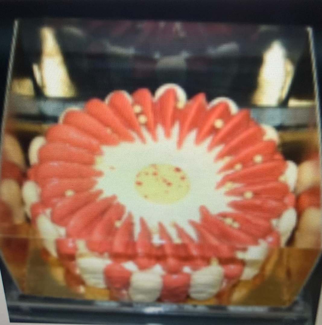 Vacherin framboise vanille 10 pers congelé Super U Vertou : photo du produit rappelé le 04/08/2021