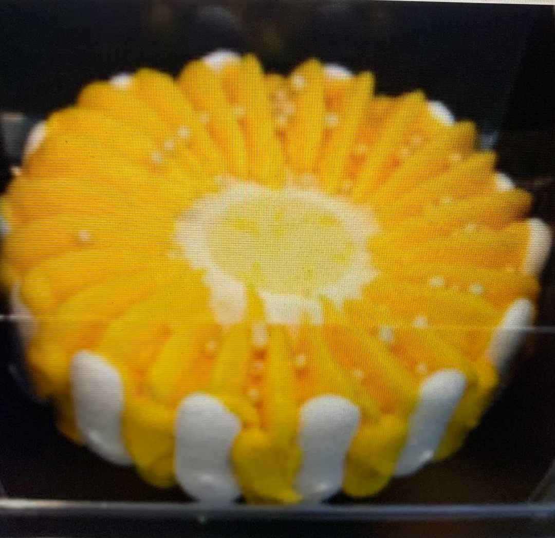 Vacherin mangue passion vanille 10 pers congelé Super U Vertou : photo du produit rappelé le 04/08/2021