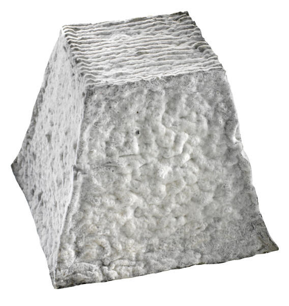 Valencay AOP Fa : photo du produit rappelé le 29/09/2025