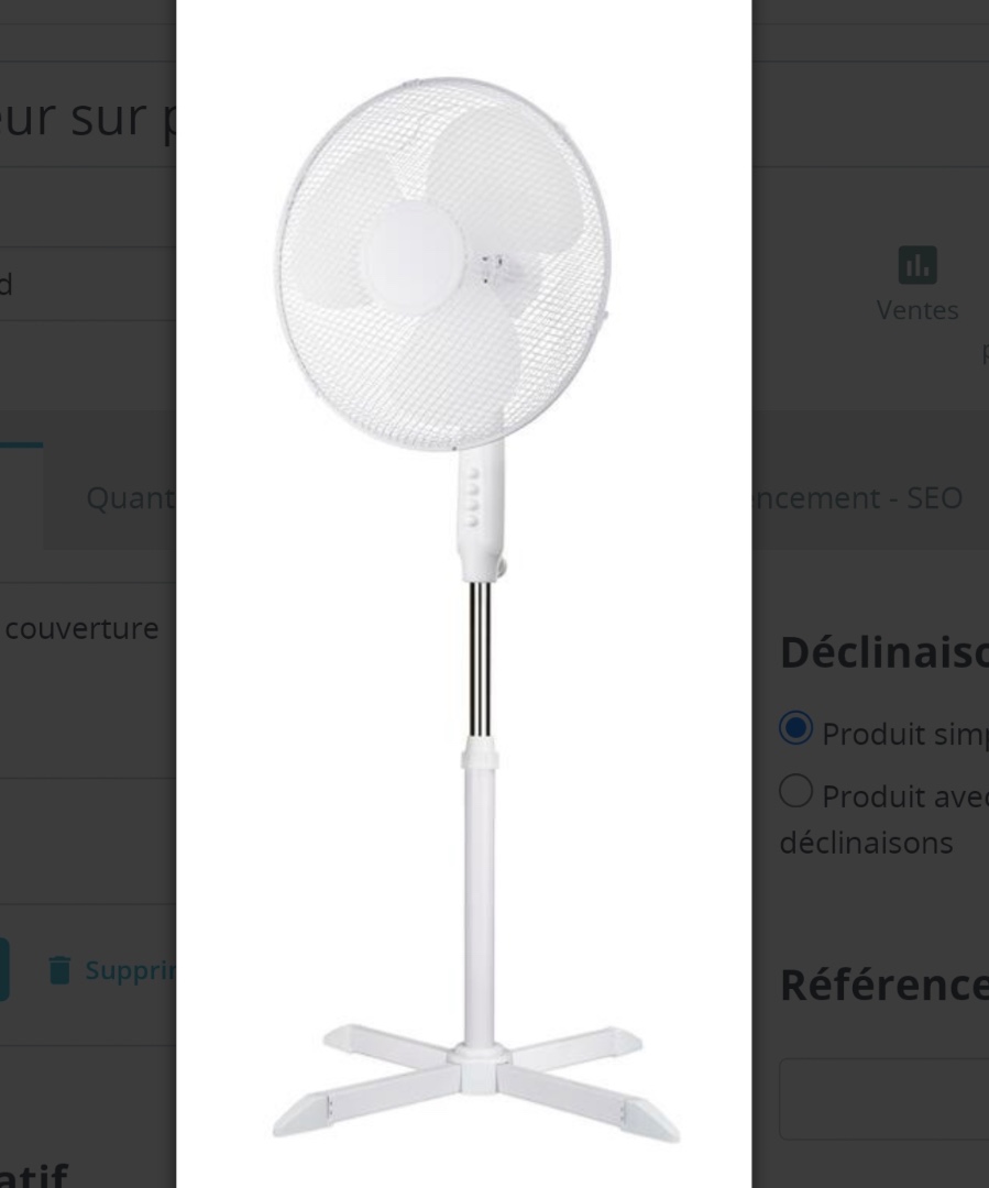 Ventilateur fs 40a sur pied blanc : photo du produit rappelé le 09/07/2024